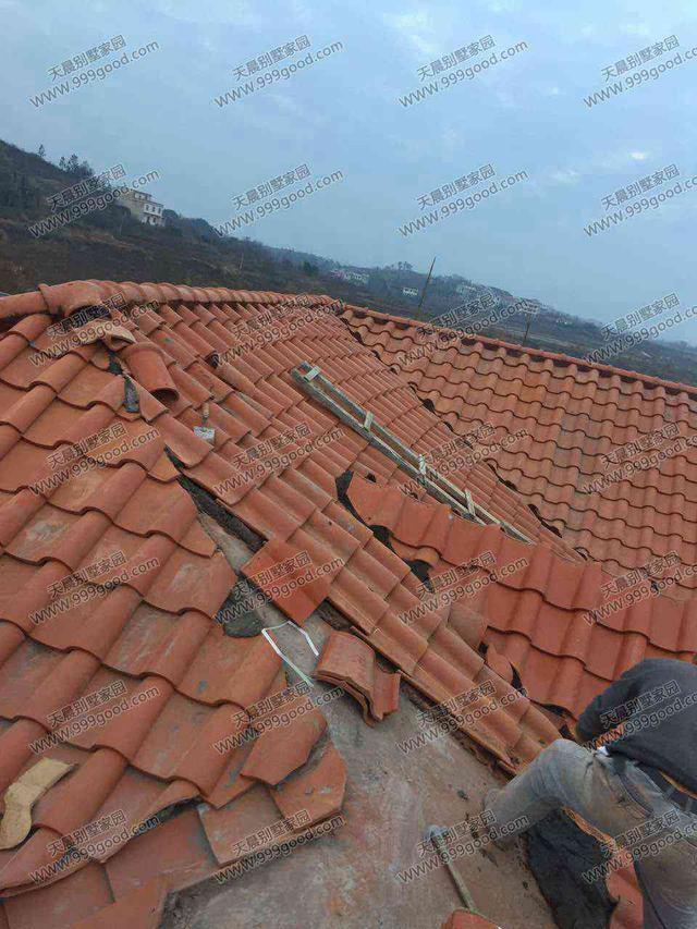 農村別墅設計圖，車庫入戶，方正戶型12X12.4米！含建筑圖