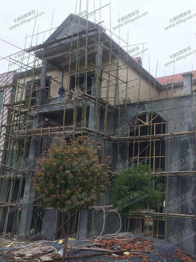 農村別墅設計圖，車庫入戶，方正戶型12X12.4米！含建筑圖