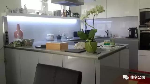 華人30萬(wàn)歐元在奧地利建起的家，果然不一般！