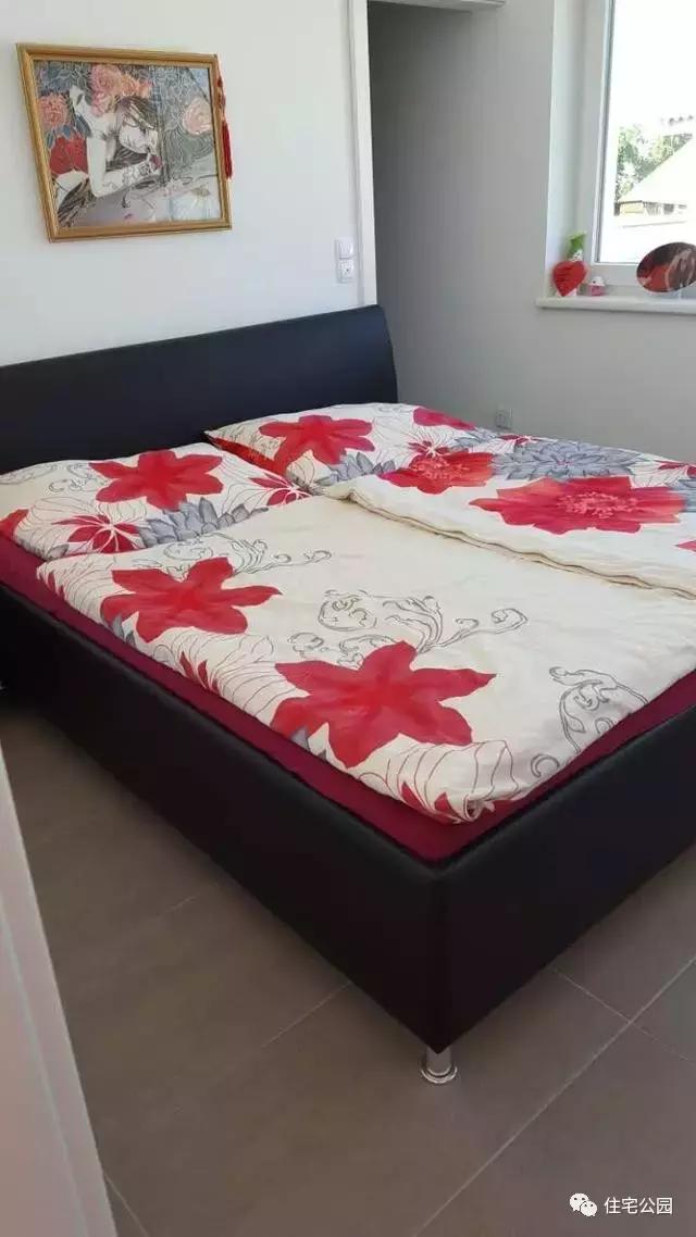 華人30萬(wàn)歐元在奧地利建起的家，果然不一般！