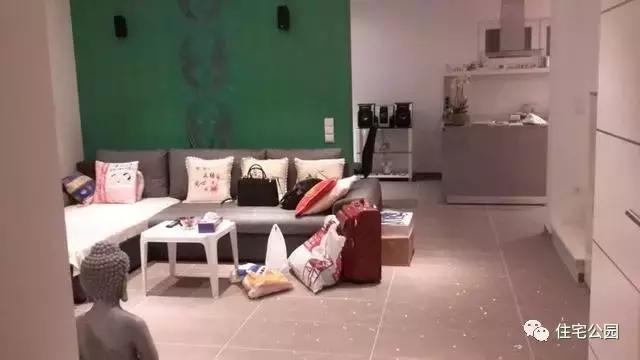 華人30萬(wàn)歐元在奧地利建起的家，果然不一般！