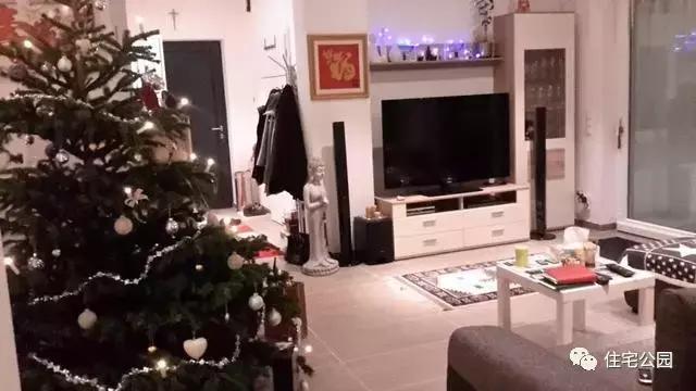 華人30萬(wàn)歐元在奧地利建起的家，果然不一般！