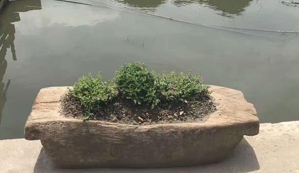 農村這些老物件你家還有嗎，快點看看能派上大用場