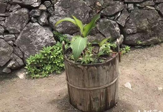 農村這些老物件你家還有嗎，快點看看能派上大用場