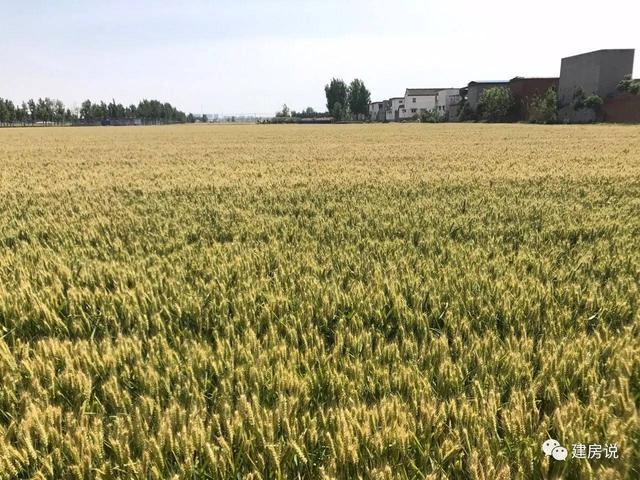 美如畫的農(nóng)村別墅，網(wǎng)友曬自建獨(dú)門小別墅，讓人羨慕的流口水