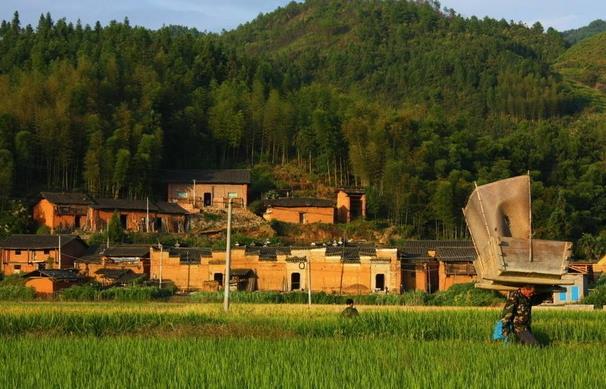 社會的病態：城里人紛紛往農村涌，農村人拼命在城里買房