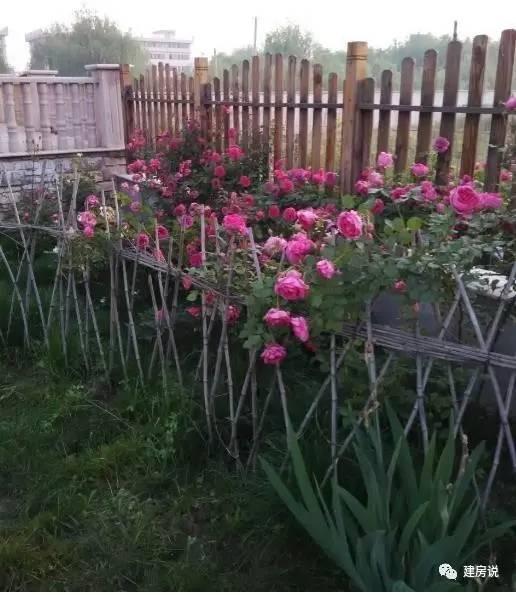 蘇州網(wǎng)友曬三層農(nóng)村別墅，帶洋氣花園很有格局