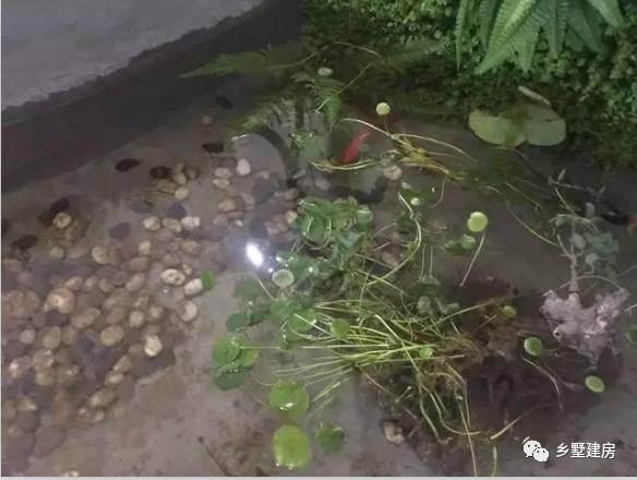 帶亭子的二層農村自建房，附完工照和室內裝修圖