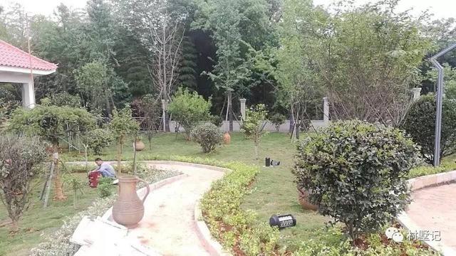 去舅舅剛建好的農(nóng)村別墅玩，有個(gè)超大庭院都不舍得回自己家了