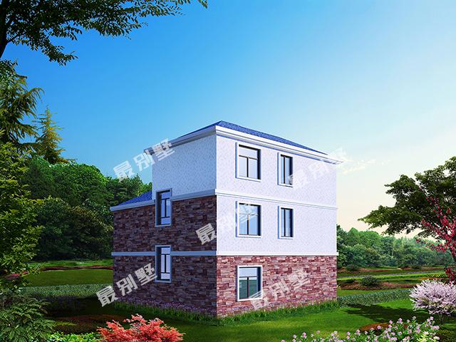 曬曬建筑設計師為自己家選的農村別墅圖紙，村里人都目瞪口呆