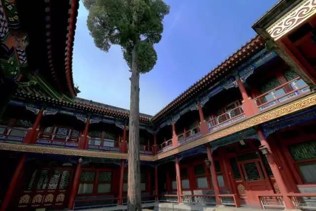 四合院才是真正別墅，其他的別墅比起來弱爆了，不信可以自己看