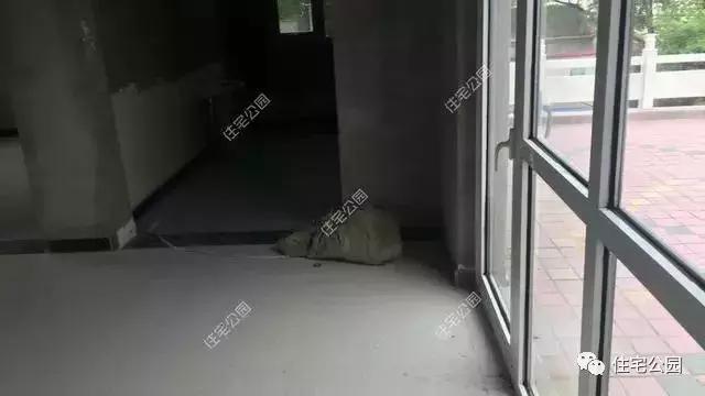 河南農村40萬自建三層樓房，性價比讓人羨慕