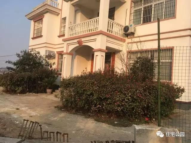 父子二人攜手設計圖紙，60萬建舒適別墅！