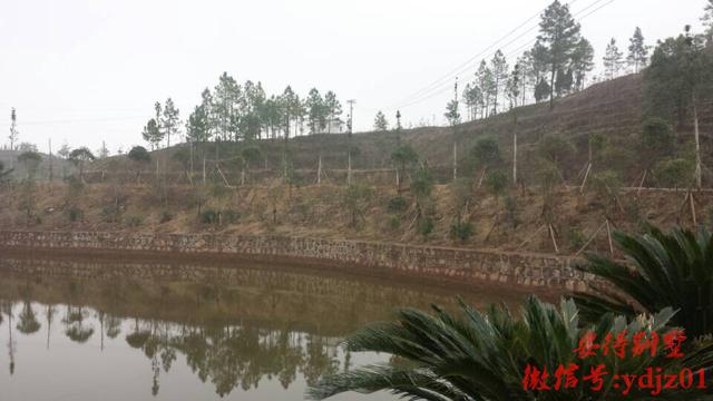 農村歐式別墅，10年內很難有人超越！