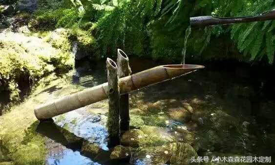 別墅花園之魚池設計