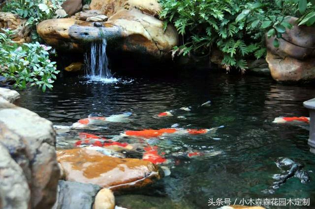 別墅花園之魚池設計