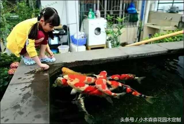 別墅花園之魚池設計