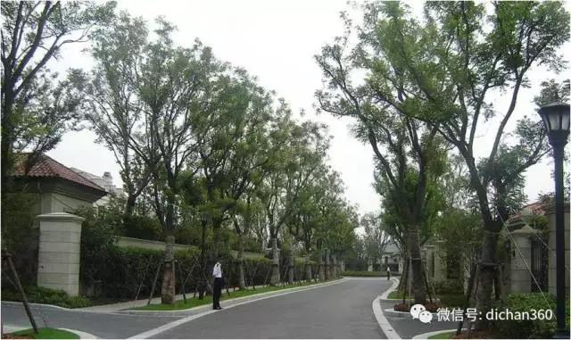 綠城別墅項(xiàng)目景觀設(shè)計(jì)手法（全套）