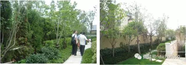 綠城別墅項(xiàng)目景觀設(shè)計(jì)手法（全套）