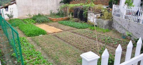 11.5X10.1米農村別墅設計圖，布局實用，造價經濟！