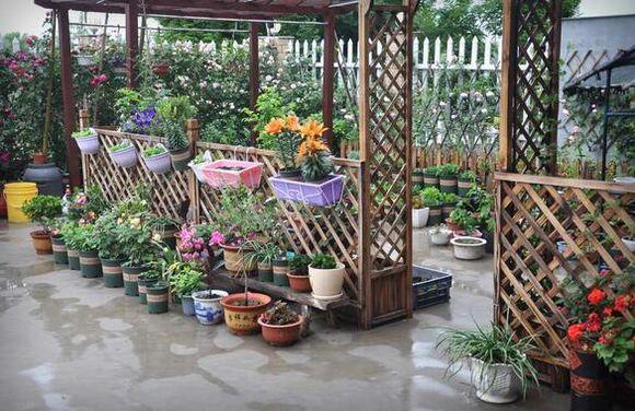 11.5X10.1米農村別墅設計圖，布局實用，造價經濟！