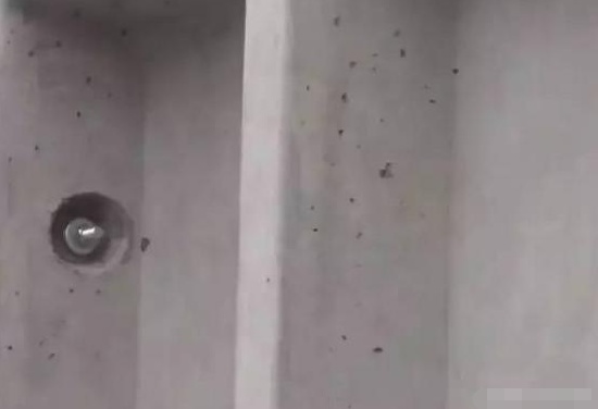 裝配式低層住宅，是未來農村自建房的必然發展趨勢