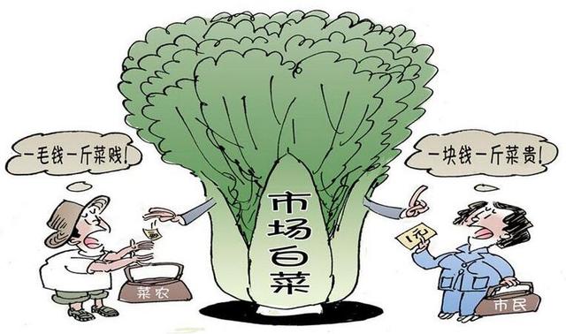 1塊錢買200套別墅圖紙，拿什么拯救農村自建蓋房現狀？