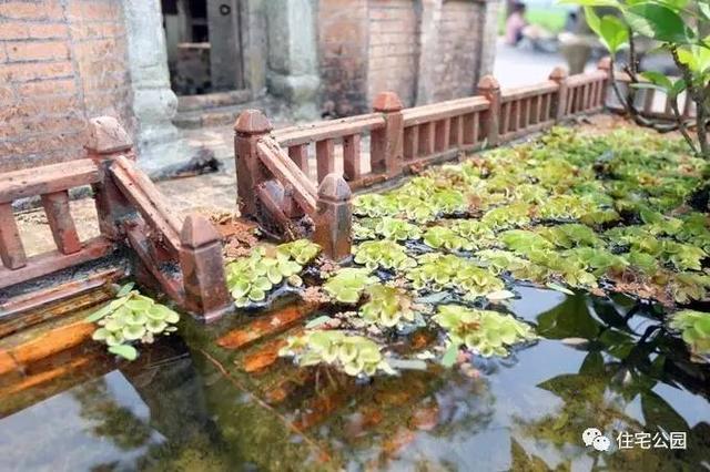 1000元買的農家小院，有樹有水有大瓦房，值么？