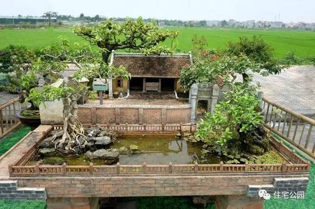 1000元買的農家小院，有樹有水有大瓦房，值么？