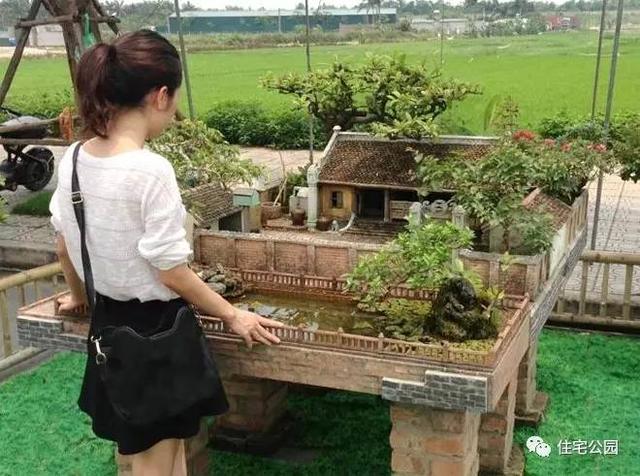 1000元買的農家小院，有樹有水有大瓦房，值么？