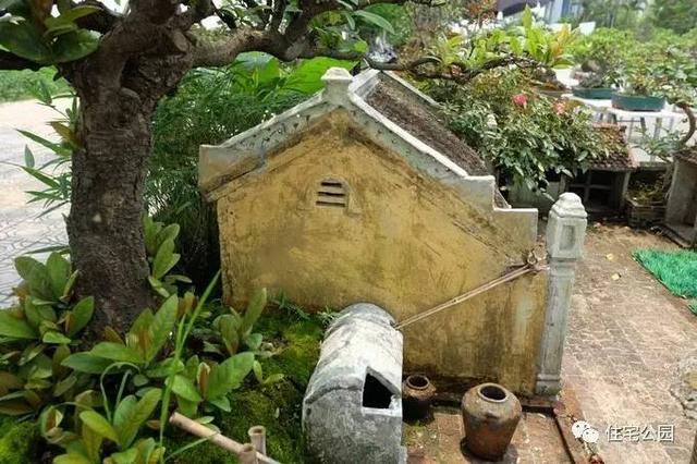 1000元買的農家小院，有樹有水有大瓦房，值么？