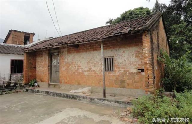 2026年農村房屋政策，這三種房屋要被回收