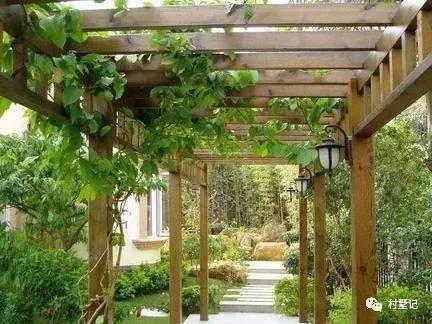 這款中式三層農村別墅的格局，我看傻了