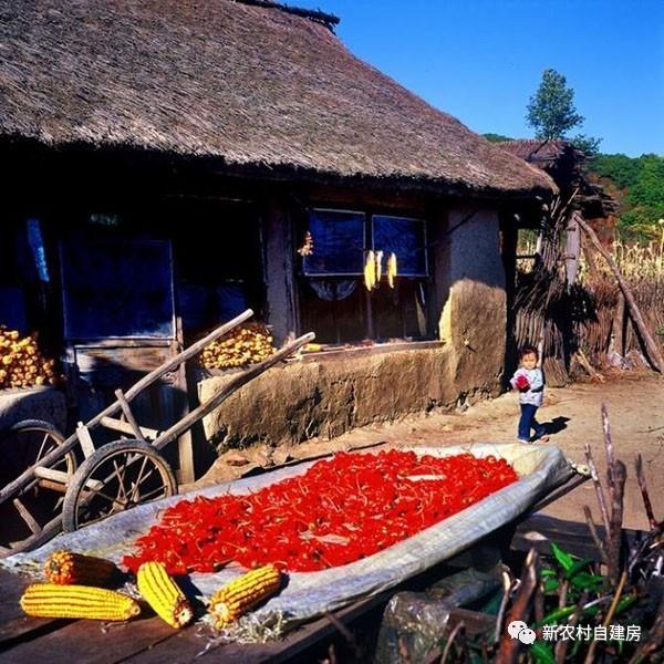 80年代的東北農村房屋，看哭了好多人