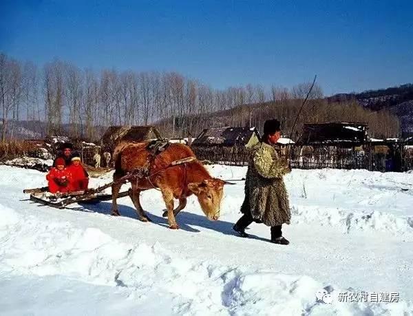 80年代的東北農村房屋，看哭了好多人