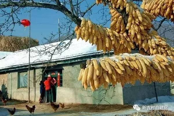 80年代的東北農村房屋，看哭了好多人