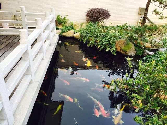 造價千萬的農(nóng)村豪宅，一塊石頭就花了45萬