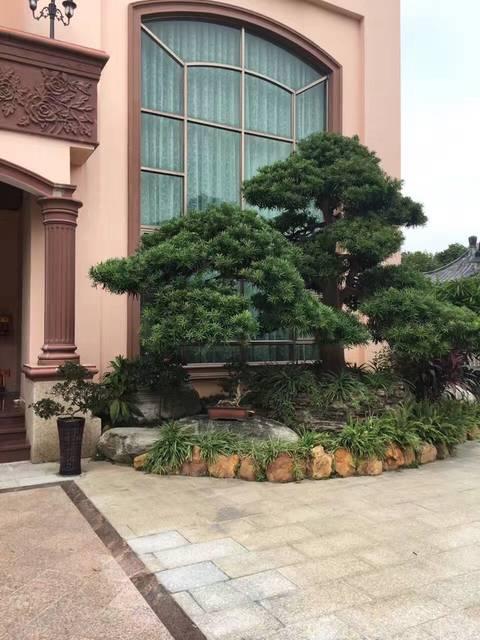 造價千萬的農(nóng)村豪宅，一塊石頭就花了45萬