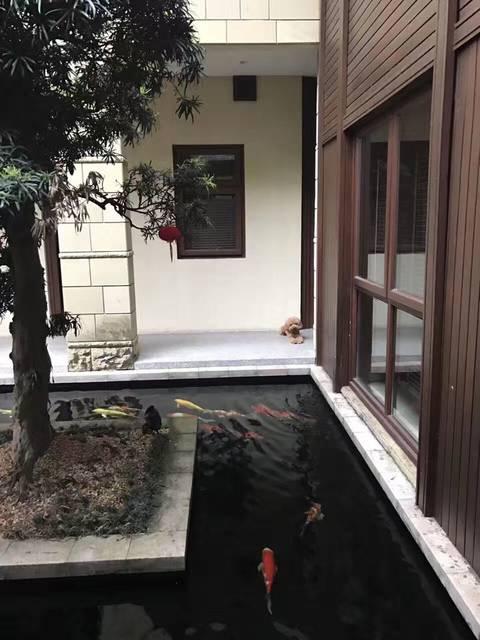 造價千萬的農(nóng)村豪宅，一塊石頭就花了45萬