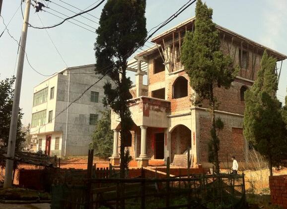 11.4米x11.5米農(nóng)村自建房，有前院還有后院，別說不羨慕