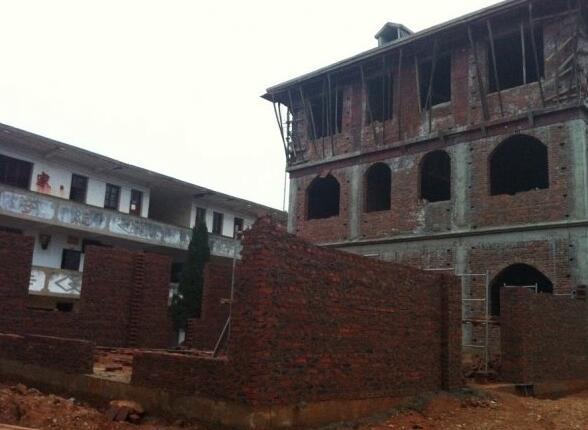 11.4米x11.5米農(nóng)村自建房，有前院還有后院，別說不羨慕