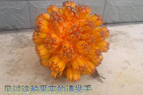 粵西網(wǎng)友建房記錄，讓本想在城里買房的都心動了，改回鄉(xiāng)去建房了