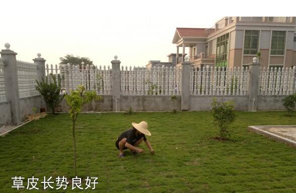 粵西網(wǎng)友建房記錄，讓本想在城里買房的都心動了，改回鄉(xiāng)去建房了