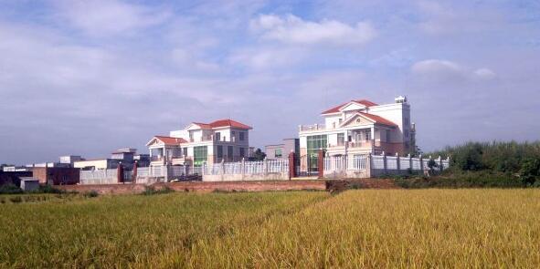 粵西網(wǎng)友建房記錄，讓本想在城里買房的都心動了，改回鄉(xiāng)去建房了