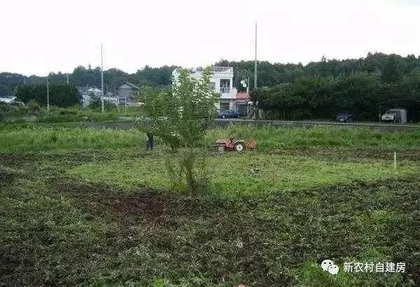 實拍日本人建房過程，不用一磚一瓦能抗8級地震