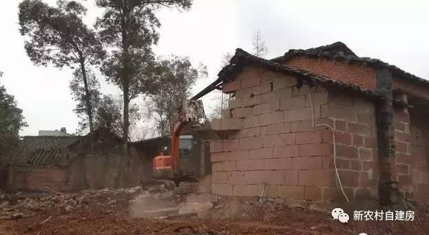 65建兄弟雙拼別墅，重回農(nóng)村，只為父母的期盼