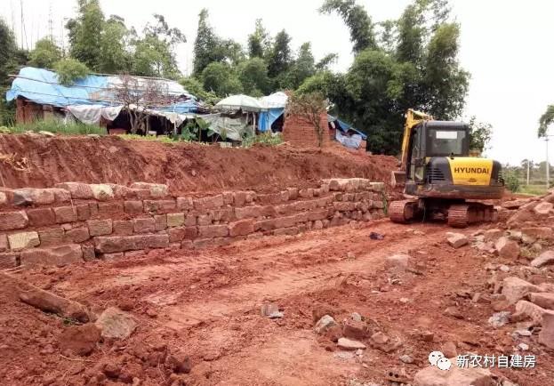 65建兄弟雙拼別墅，重回農(nóng)村，只為父母的期盼