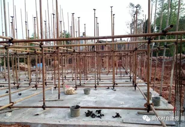 65建兄弟雙拼別墅，重回農(nóng)村，只為父母的期盼