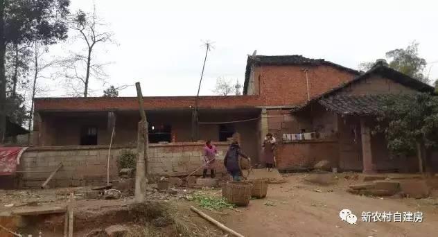 65建兄弟雙拼別墅，重回農(nóng)村，只為父母的期盼