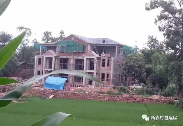 65建兄弟雙拼別墅，重回農(nóng)村，只為父母的期盼